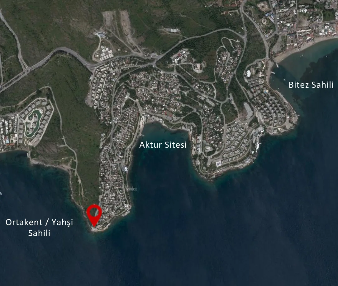 Boges İnceburun